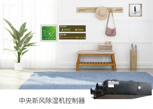 梅雨季还不送TA恒温除湿机,都不知道心疼人的